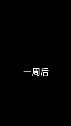 预览图5
