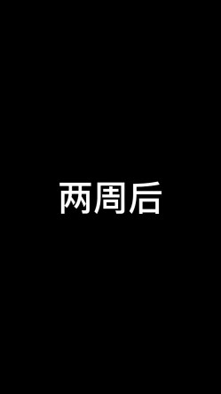 预览图9