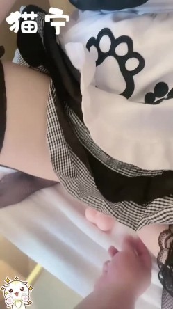 预览图4