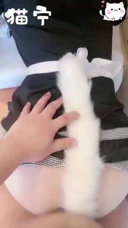 预览图9