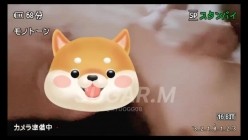 预览图2