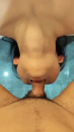 预览图6