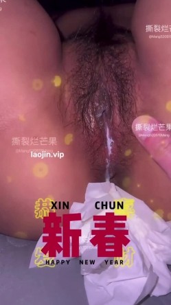 预览图16