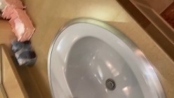 预览图4