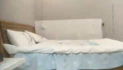 预览图4