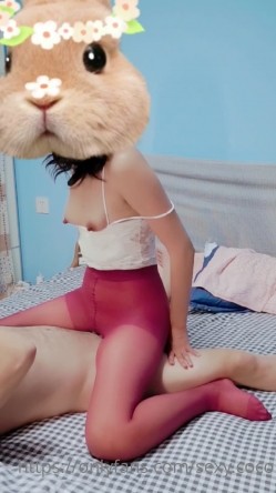 预览图2