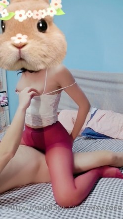 预览图5