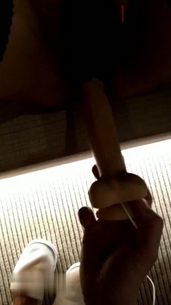 预览图8
