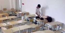 预览图2