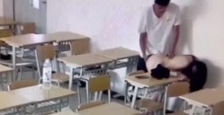 预览图9