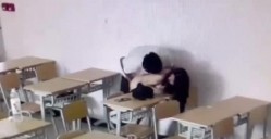 预览图14
