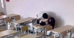 预览图15