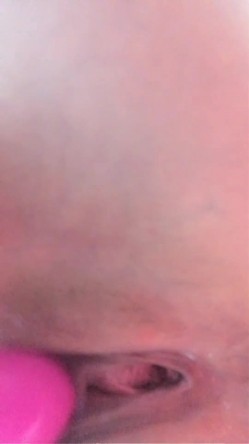 预览图8