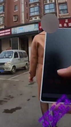 预览图2