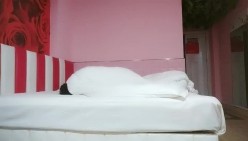 预览图5
