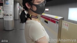 预览图4