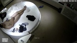 预览图4