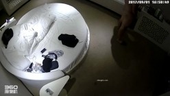 预览图16