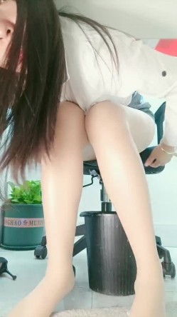 预览图13
