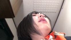 预览图11