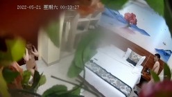 预览图2