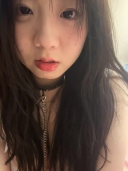 预览图14