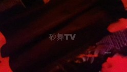 预览图4