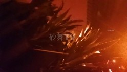 预览图7