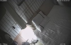 预览图9