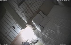 预览图10