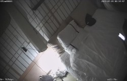 预览图11