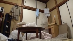 预览图2