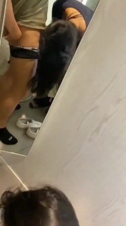 预览图6