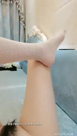 预览图3