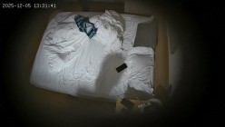 预览图4