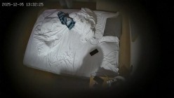 预览图5