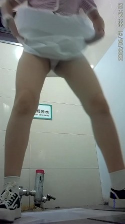 预览图3