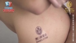 预览图14