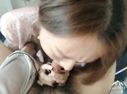 预览图8
