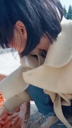 预览图4