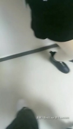 预览图7