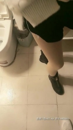 预览图8