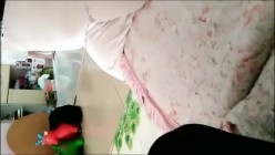 预览图1