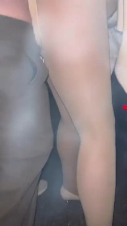 预览图2