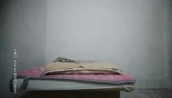 预览图4
