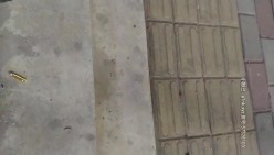 预览图8