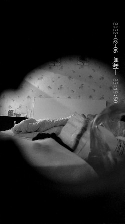 预览图6