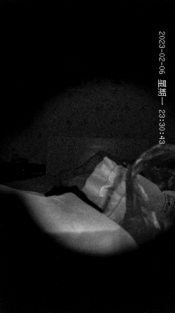 预览图7