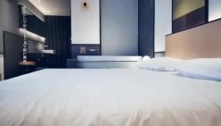 预览图5