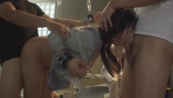 预览图4